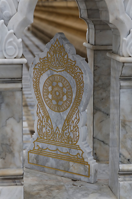 Talin chan-NOV13-091